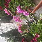 게스트하우스 Bella Vista 3*